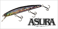 OSP ASURA SP
