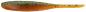 Preview: 3" Shad Impact - Tasty Motoroil