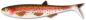 Mobile Preview: Quantum Yolo Pike Shad 18cm 33g - Rainbow Trout