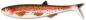 Preview: Quantum Yolo Pike Shad 18cm 33g - Rainbow Trout