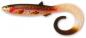 Preview: Quantum Yolo Curly Shad 26cm - Rainbow Trout