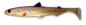 Preview: Westin HypoTeez ST 25cm - Brook Trout