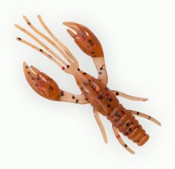 2.2" Fanatik Raider - Maple Syrup | 003