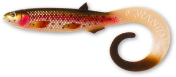 Quantum Yolo Curly Shad 26cm - Rainbow Trout