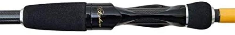 Illex Ashura Element Rider S 210 M Stalking Special - 1+1teilig - 5-21g