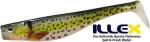 Illex Dexter Shad 250mm - Brown Trout